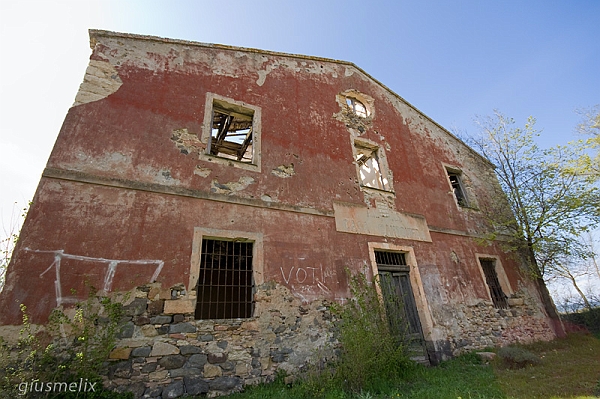 Nurri (40D_3988_1rid).jpg